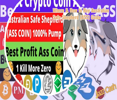 Australian shepherd crypto