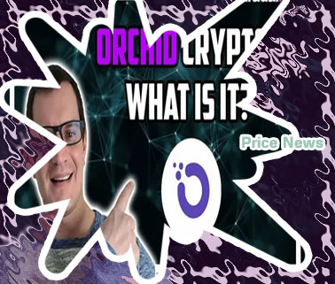 Orchid news crypto