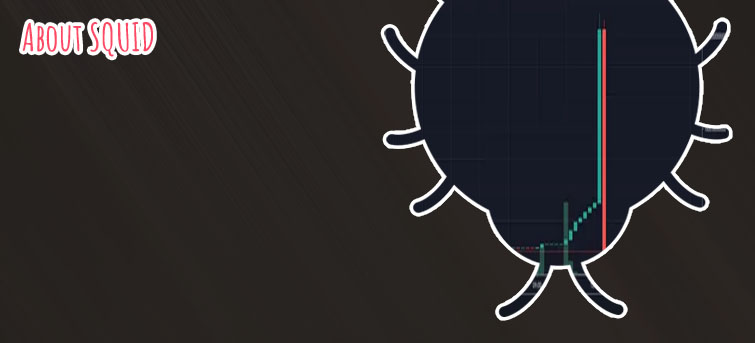 Squid crypto
